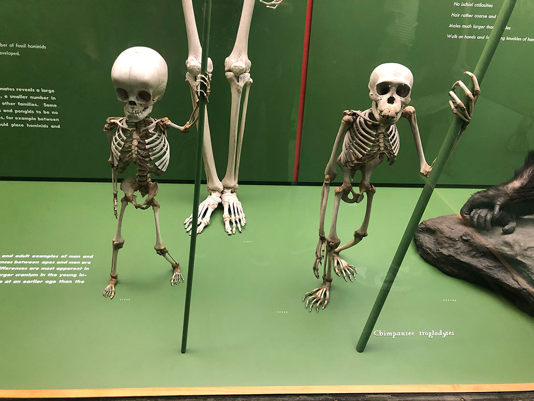 La magie nocturne des musées de New York